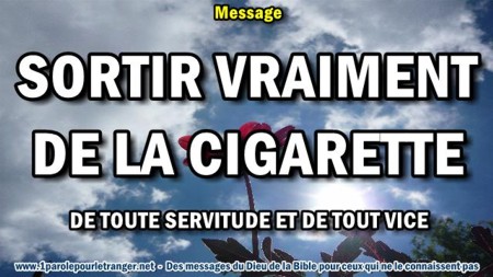 2017 1111 sortir vraiment de la cigarette minia1