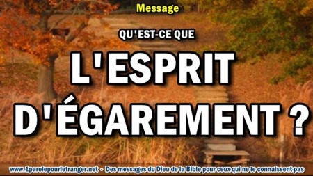 2018 0121 qu est ce que l esprit d egarement minia1