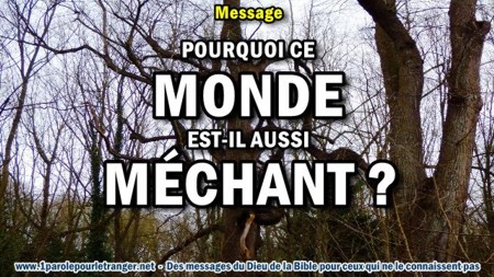 2018 0212 pourquoi ce monde est il aussi mechant minia1