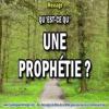 2018 0425 qu est ce qu une prophetie minia1 carre