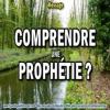 2018 0426 comprendre une prophetie minia1 carre