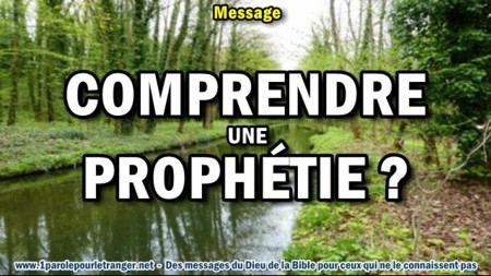 2018 0426 comprendre une prophetie minia1