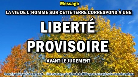 2018 0501 liberte provisoire minia1