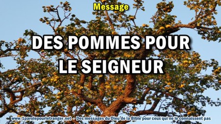 2018 0927 1 des pommes pour le seigneur minia1