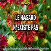 2018 0927 2 le hasard n existe pas minia1 carre