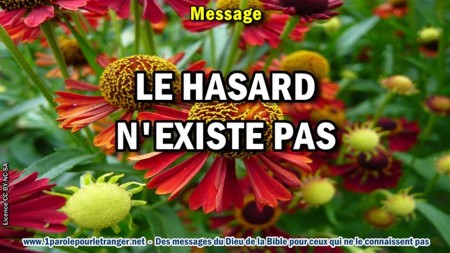 2018 0927 2 le hasard n existe pas minia1