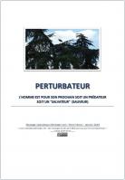 2019 0116 perturbateur miniacouv1