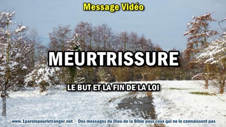 2019 0119 meurtrissure minia1