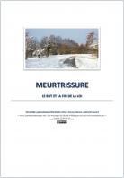 2019 0119 meurtrissure miniacouv1