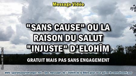 2020 0229 sans cause ou la raison du salut injuste de dieu minia1 450