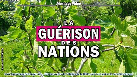 2020 0514 la guerison des nations minia2 450